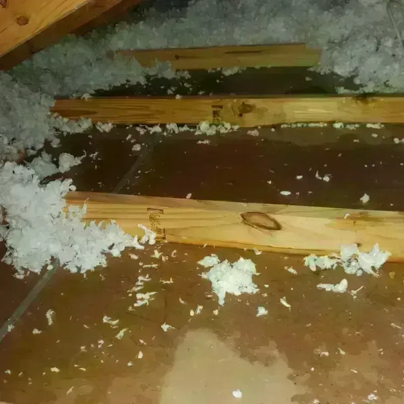 Attic Water Damage in Englewood, FL